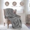 Superior Fleece Blanket, Plush, Fluffy, Soft, Decorative Blankets for Bedroom, Sofa, Fuzzy Bedding, Cute Woven Room Decor, Beautiful Cover, Comfort Essentials, Polka Dot, Throw, Winter Blue(Solid-grey)