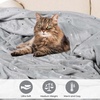 Superior Fleece Blanket, Plush, Fluffy, Soft, Decorative Blankets for Bedroom, Sofa, Fuzzy Bedding, Cute Woven Room Decor, Beautiful Cover, Comfort Essentials, Polka Dot, Throw, Winter Blue(Platinum)