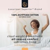 Superior Premium Combed Cotton, Bed Skirt with 15″ Drop, Classic Pleated Sides and Split Corners to Accommodate Bed Posts, Mocha – King(Mint)