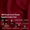 Superior 300 Thread Count Egyptian Cotton Sheet Set, Elastic Fitted Sheet, Flat Sheet, 1 Pillowcase, Twin XL, Burgundy