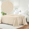 Superior Cotton Blanket, Lightweight, Soft Breathable Comfy Bedding, Full/Queen, Turquoise(Ivory – Z)